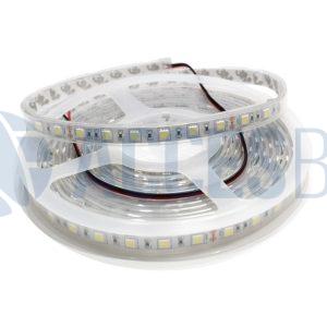 Cinta Led 24V Super Blanco C/Protector 7000/8000k x5m Imp.