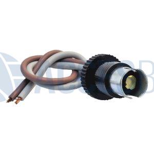 Soquete Pequeño IAM Org.